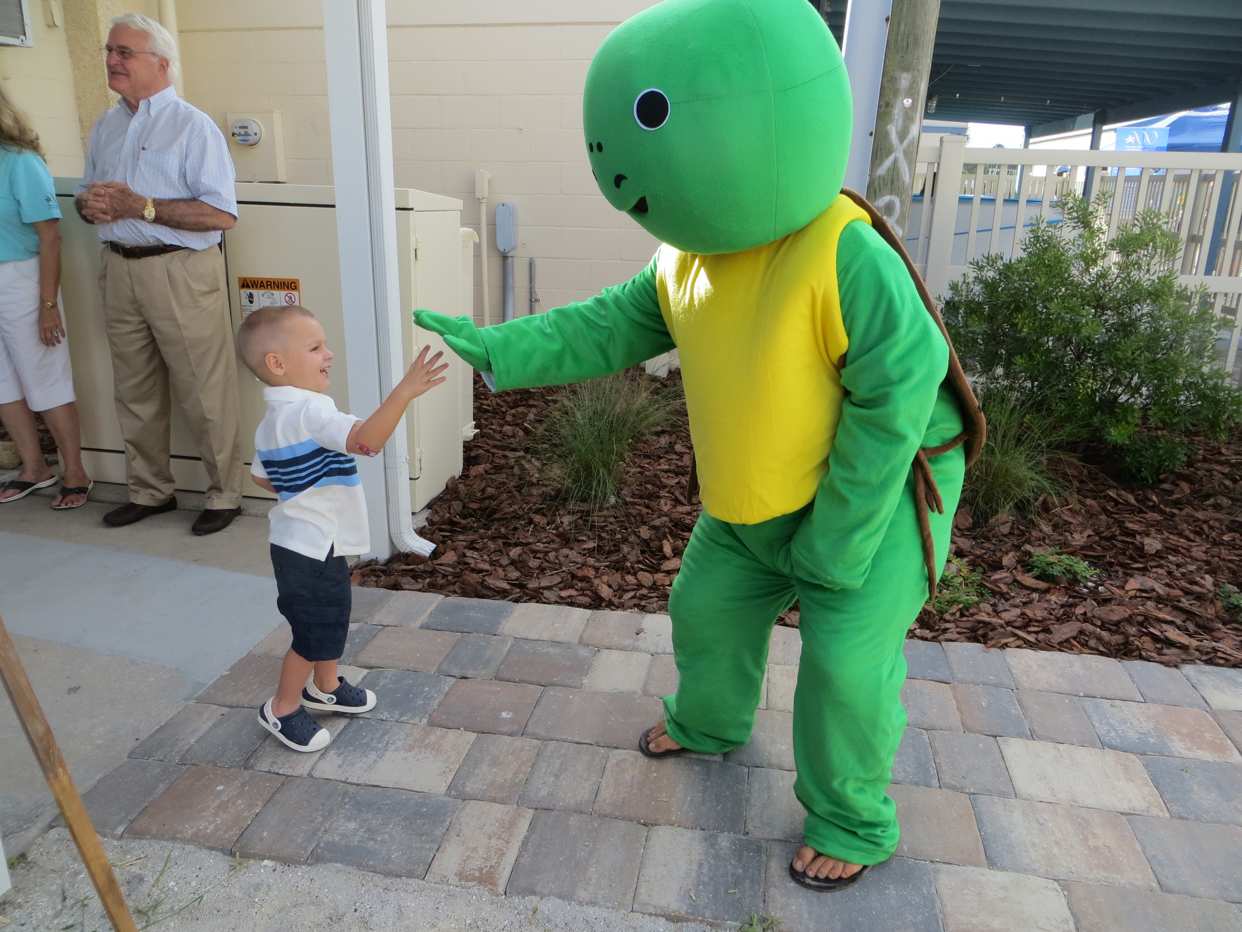 Luke Gregoire, 3, from St. Augustine gives a high-five to “Barry” the sea turtle mascot