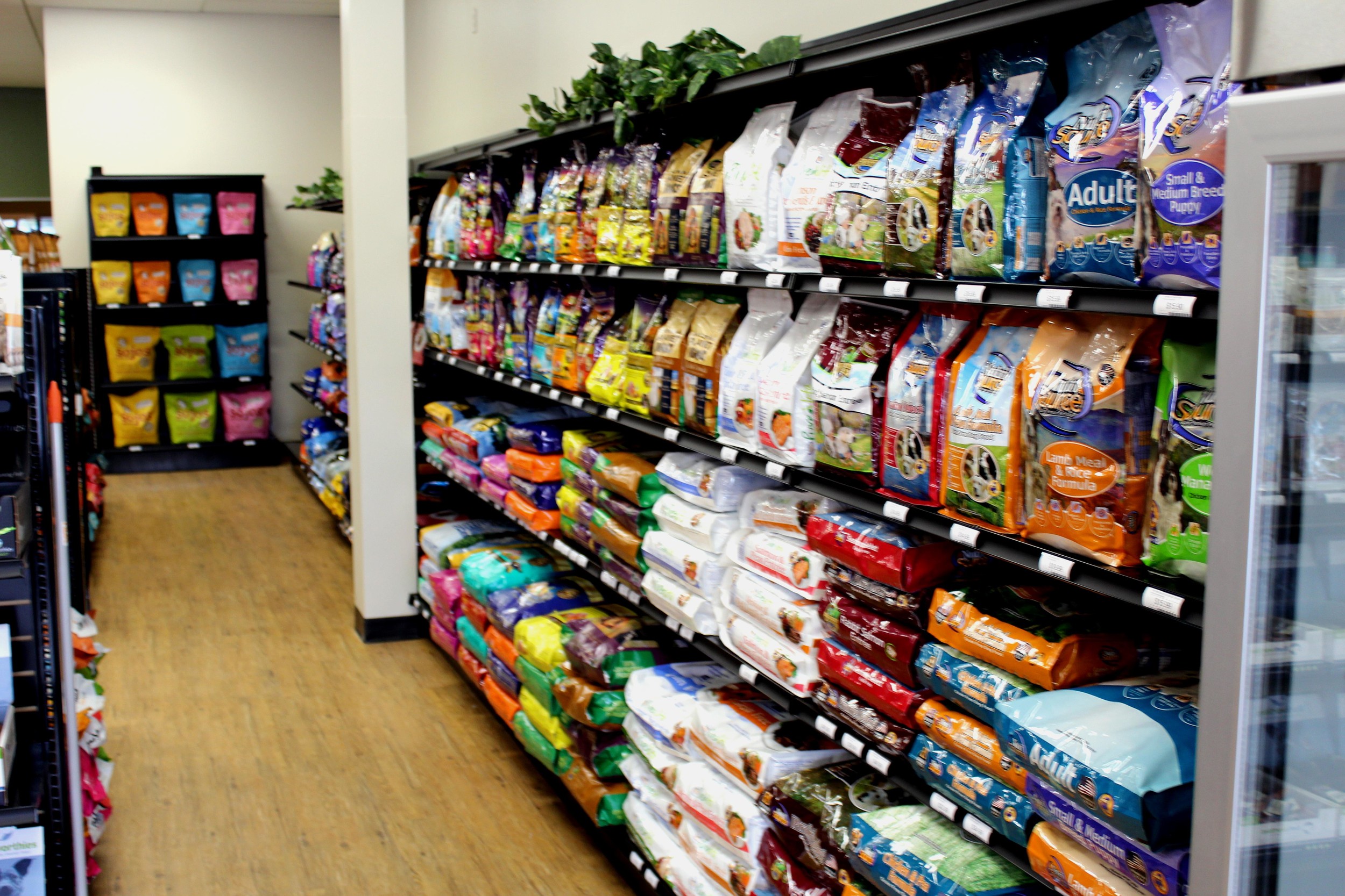 The newly opened EarthWise Pet Supply in Jacksonville Beach offers a wide variety of all-natural pet food, products and services.