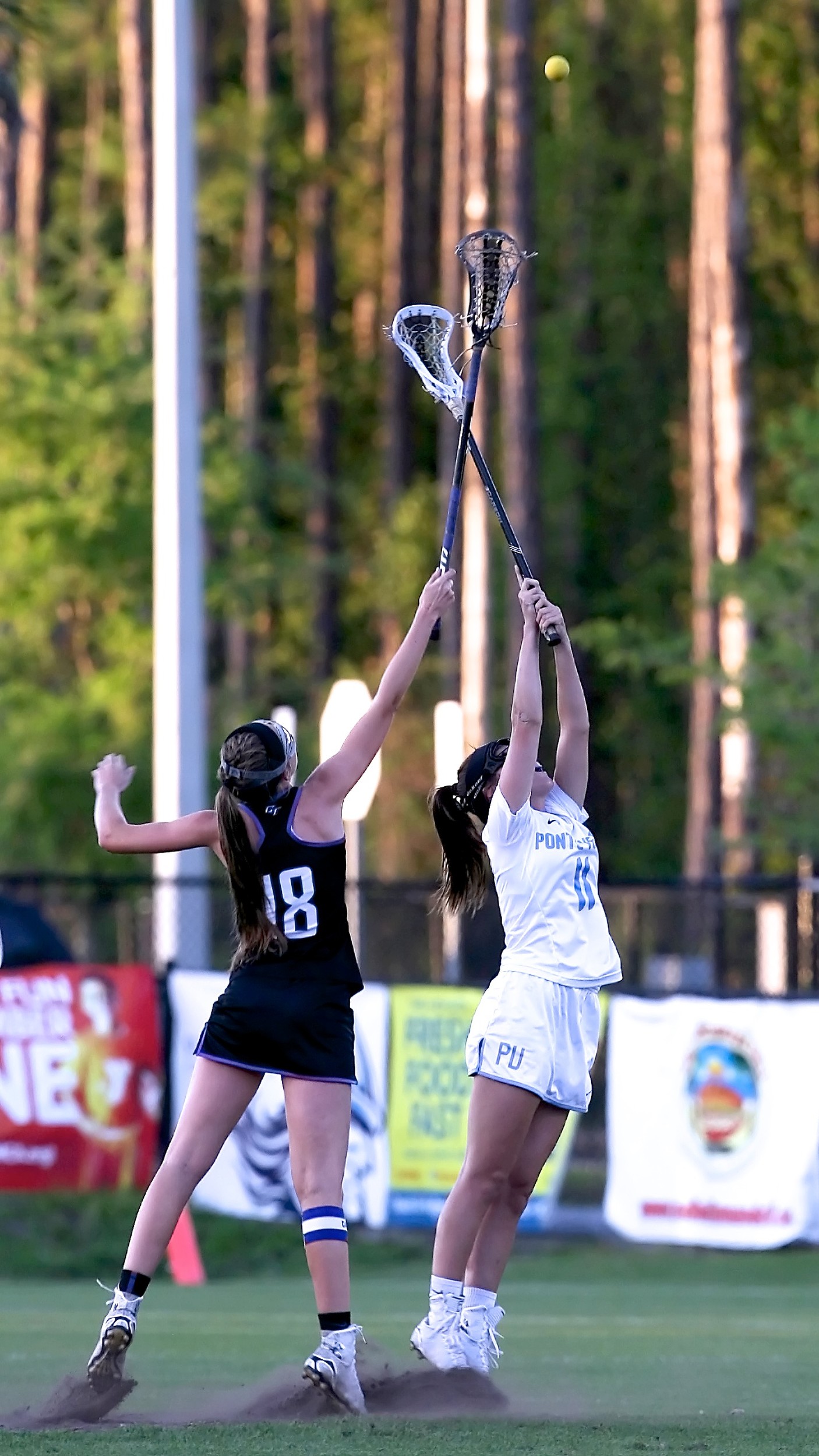 Emma Dotsikas, #11, attempts to control the face-off for the Sharks.