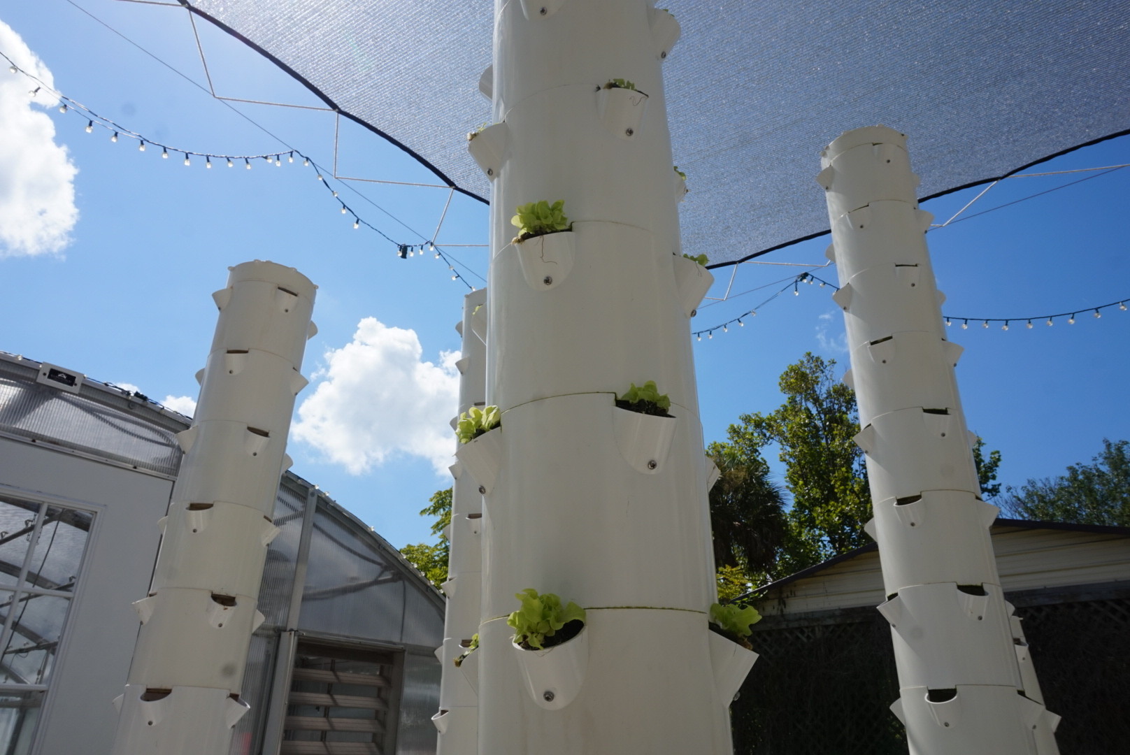 Aeroponic vertical growing towers