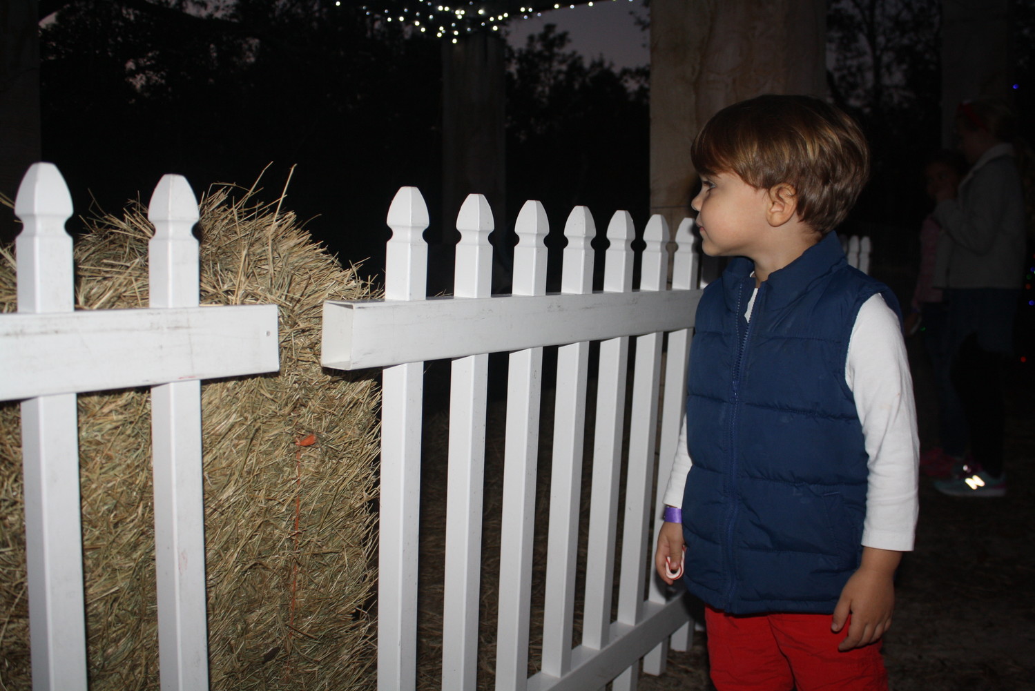 A child takes in the Village’s live manger scene.