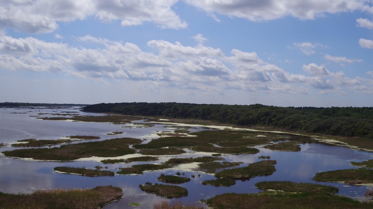 The Outpost property is located at the end of Neck Road and adjacent to the Guana Tolomato Matanzas National Estuarine Research Reserve.