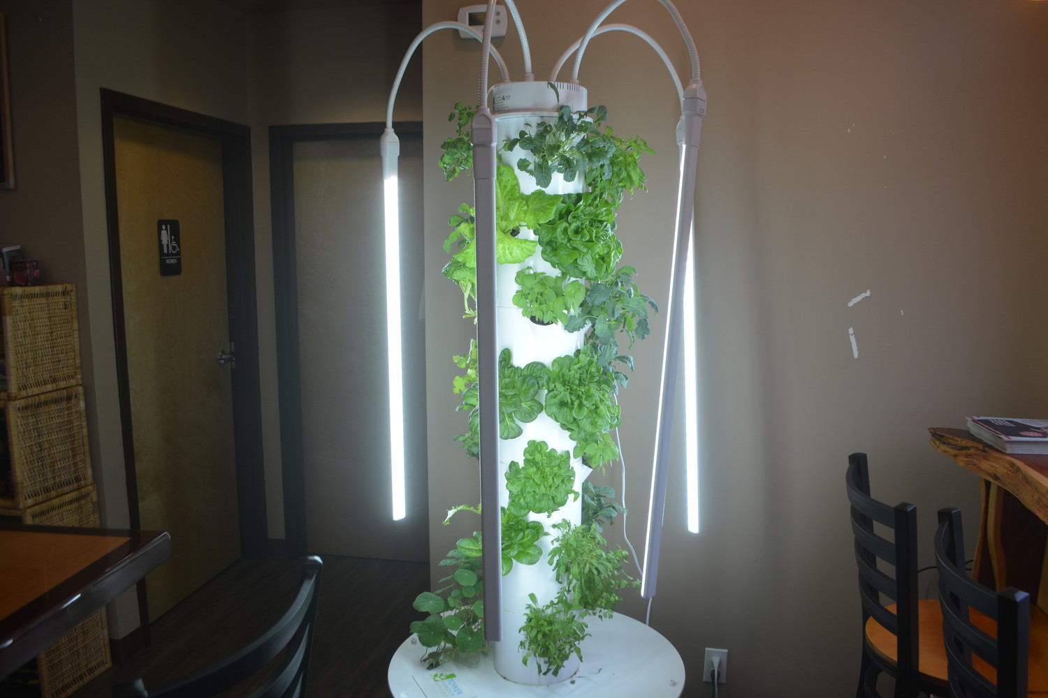 Plants are grown inside the restaurant using hydroponics.