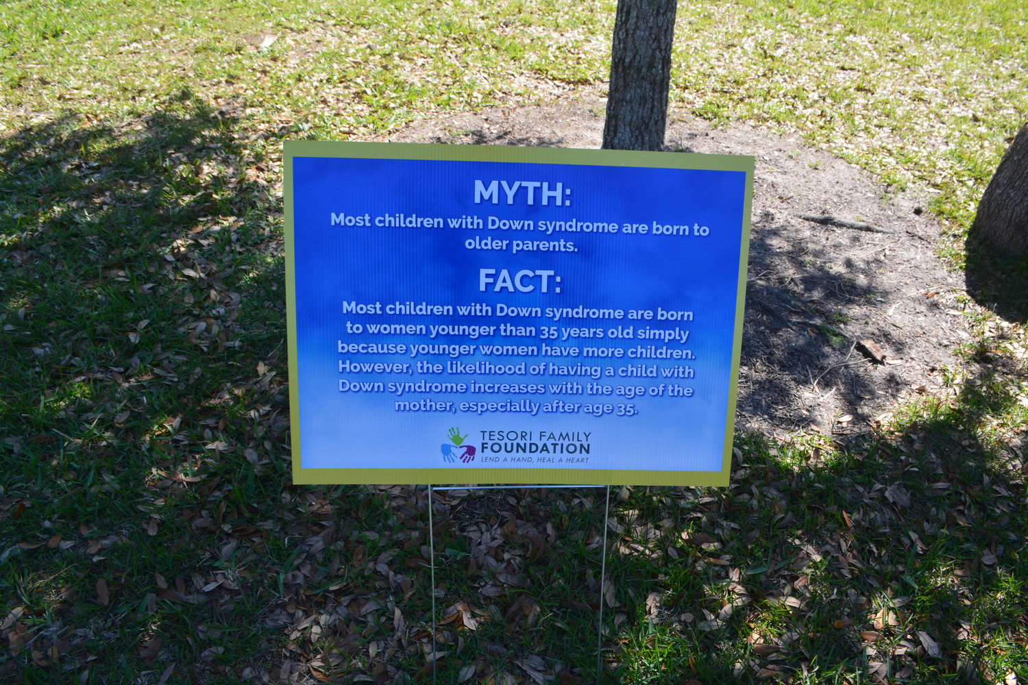 A sign with information on Down syndrome is displayed at the 321 Love Your Neighbor event.