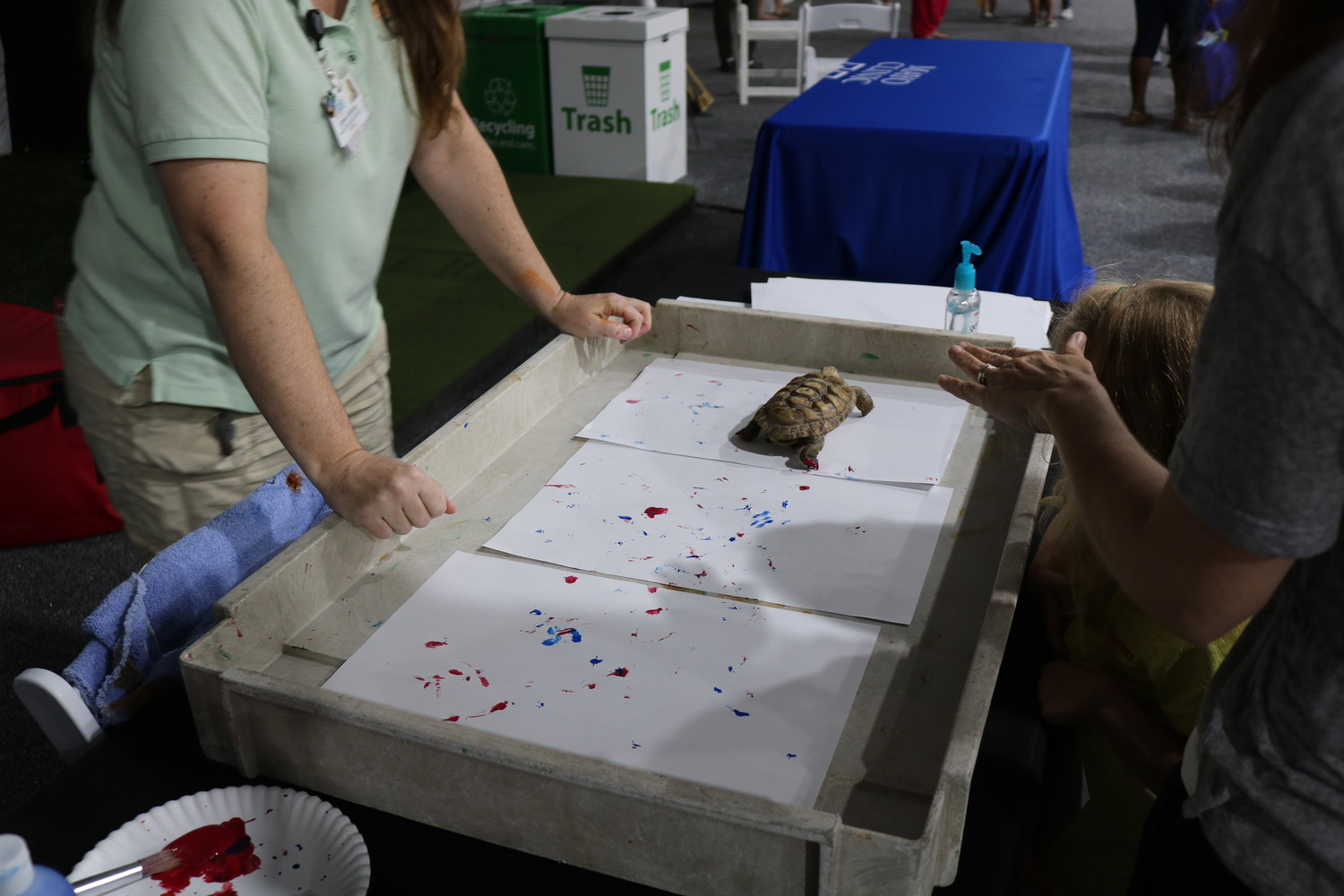 A turtle makes a work of art at the Jacksonville Zoo booth.