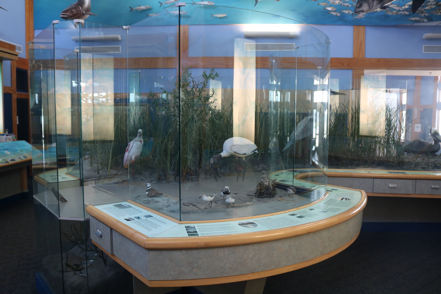 Visitors can enjoy exhibits at the GTM Reserve’s Environmental Education Center, located at 505 Guana River Road in Ponte Vedra Beach.