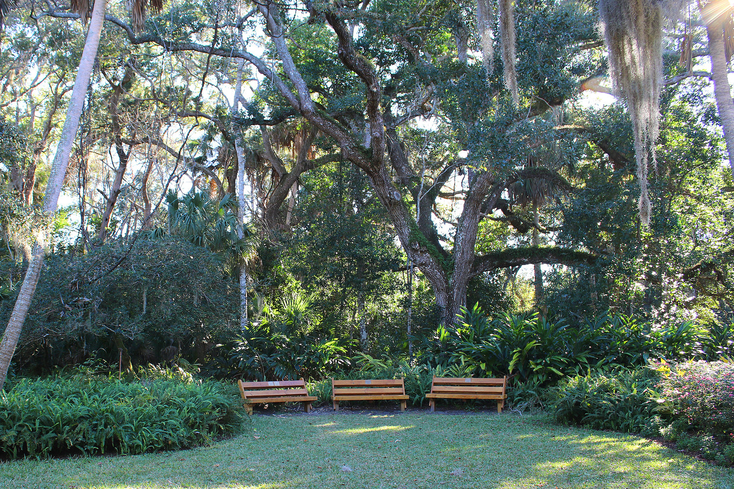 Romance Is In The Air At Washington Oaks Gardens State Park The