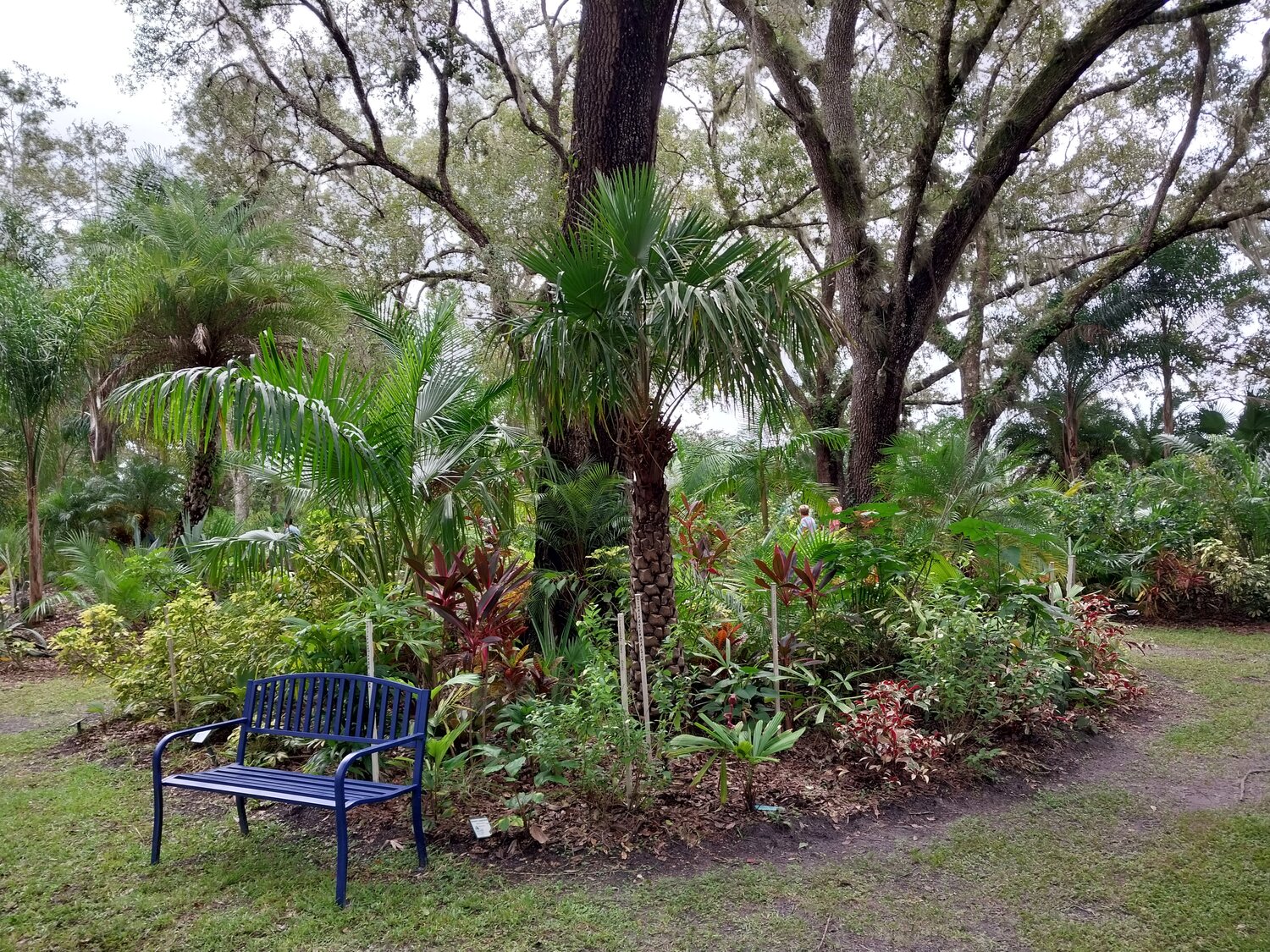The St. Johns Botanical Garden and Nature Preserve has a tropical vibe.